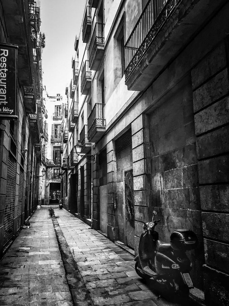 Photograph by IrinaV