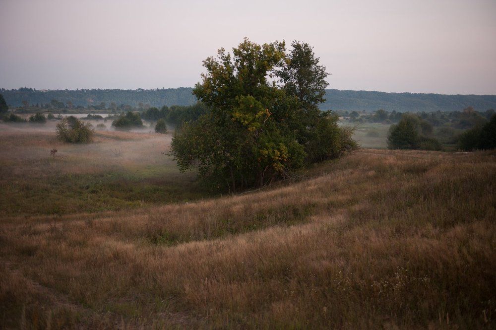 Туман вечером
