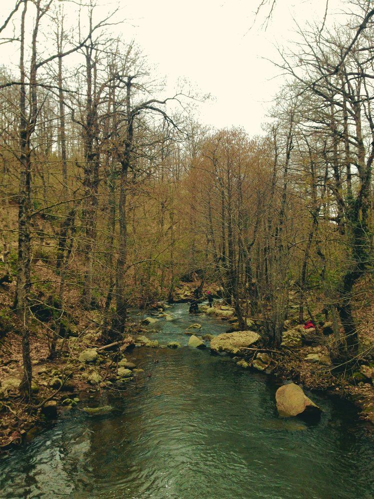 Nature
