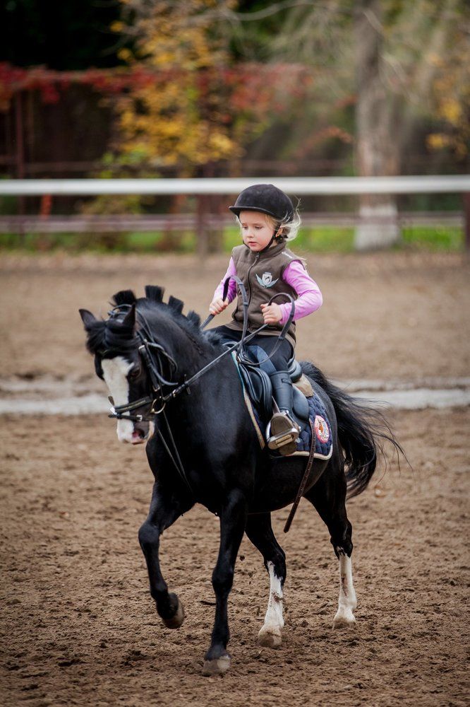 Укрощение строптивого
