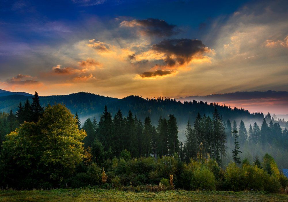 Photograph by Владислав Матвиенко