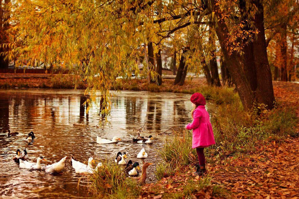 Photograph by Надежда Саркисян