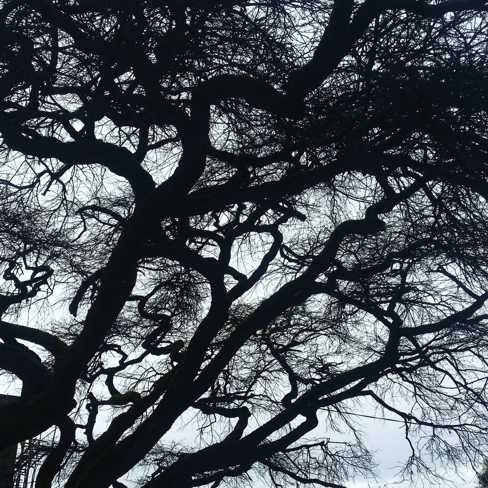natures art