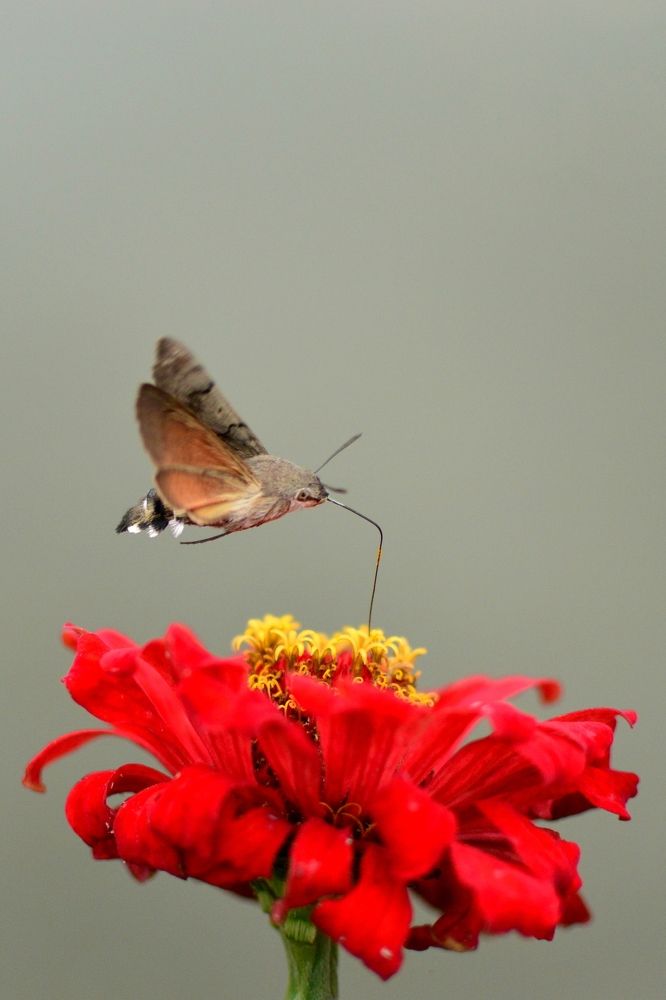 Photograph by Татьяна Василенко