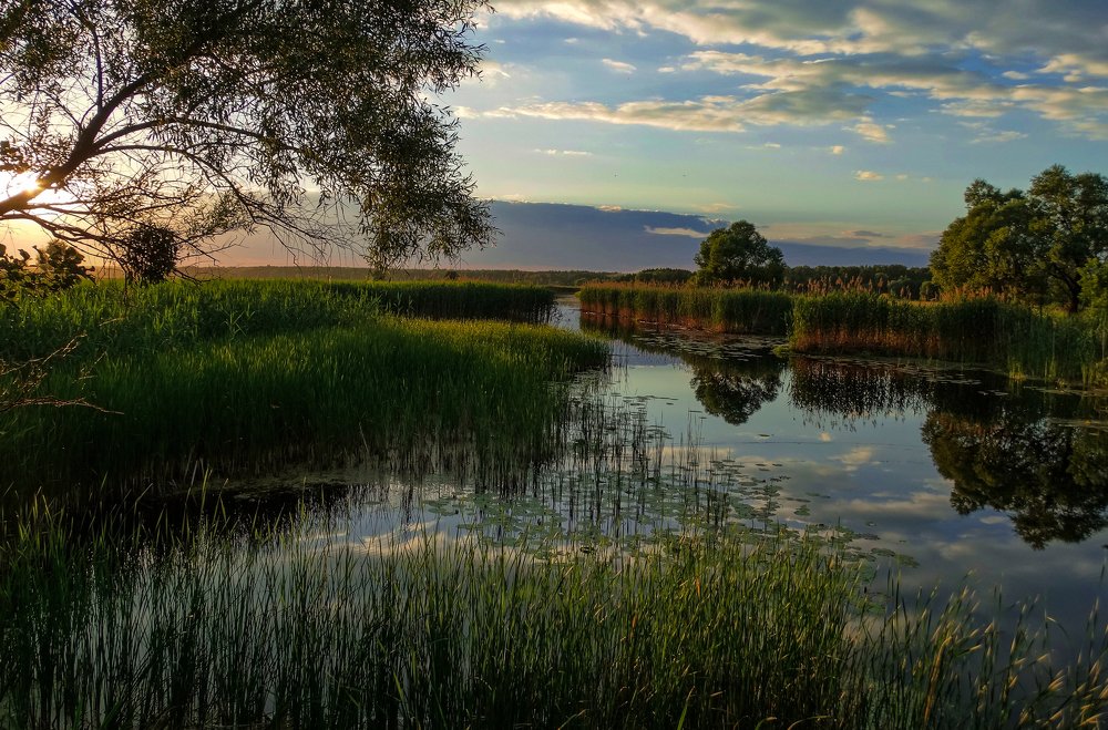 Вкусный закат