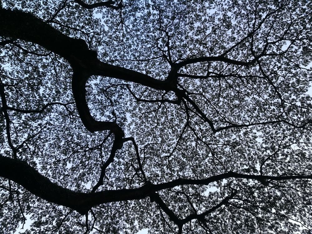 Photograph by Алексей