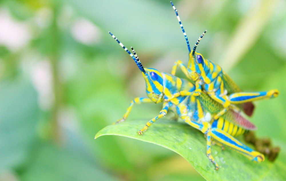 Photograph by Sarmad Sindhi