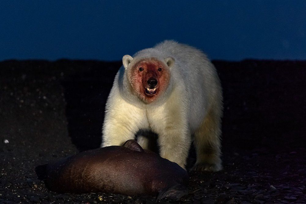 Поздний ужин