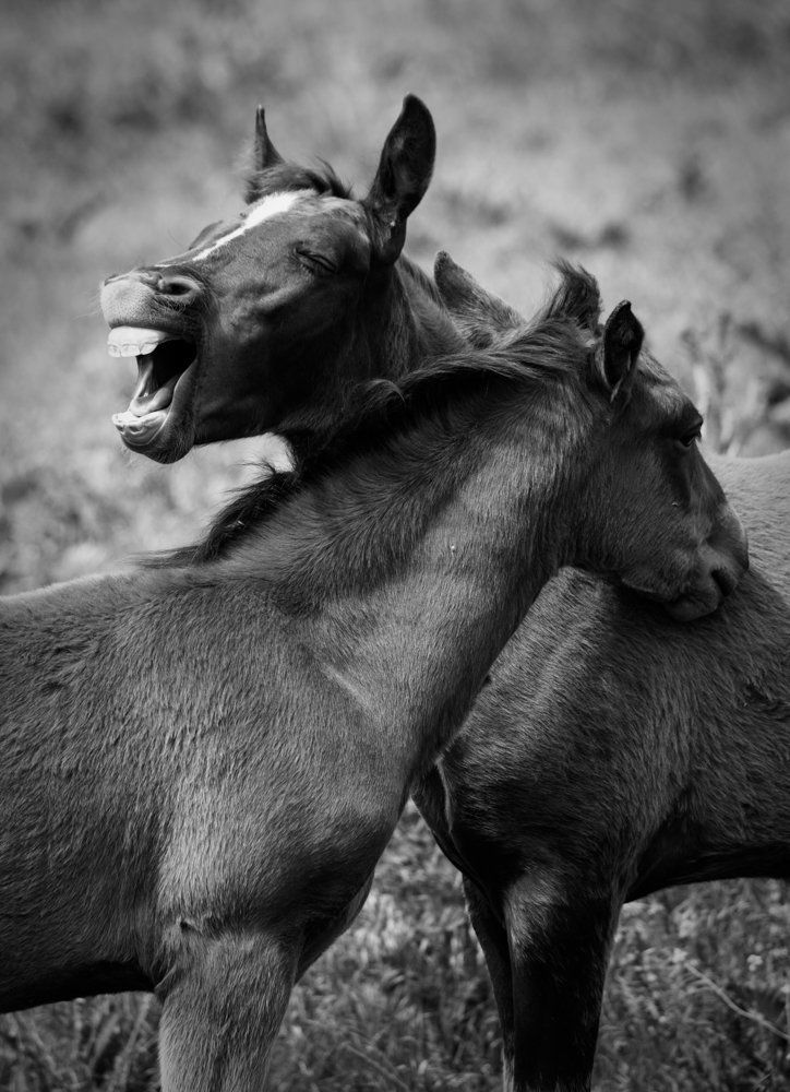 Photograph by Denis Semihov