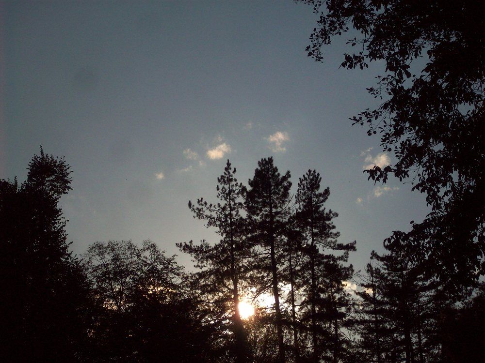 Photograph by Георги Колев