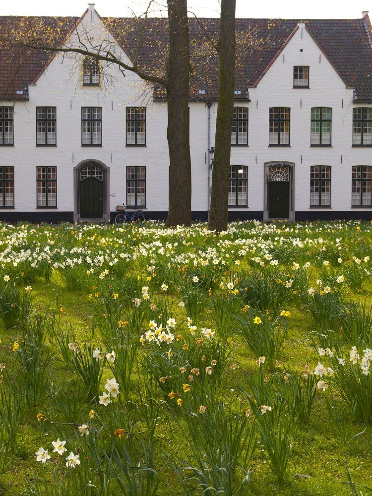 Spring in Beguinage monastery