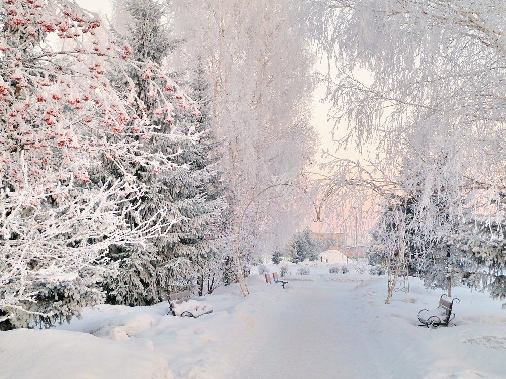 Изморозь