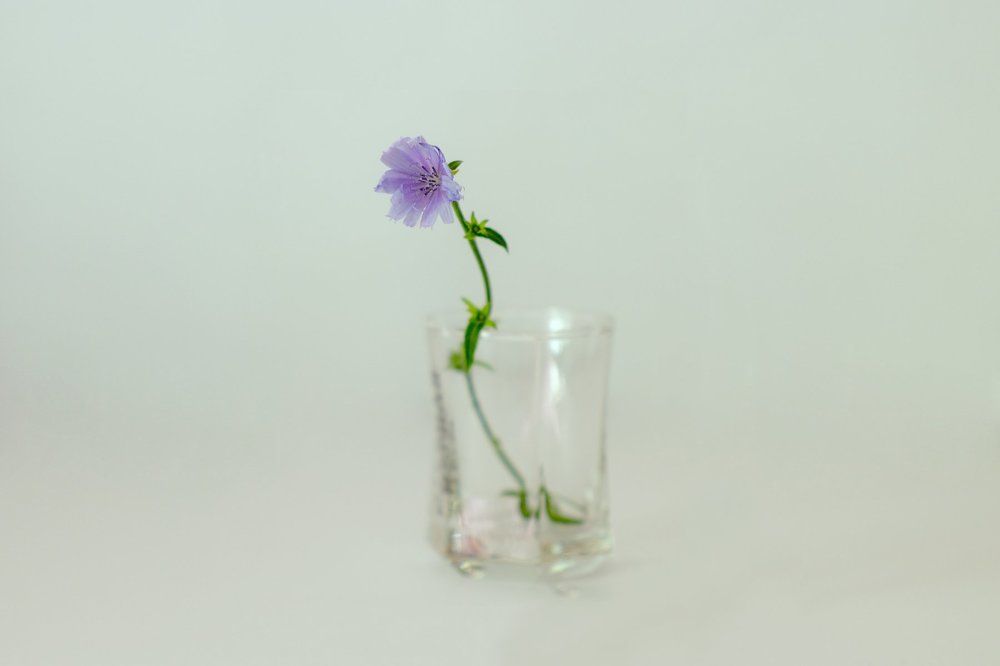 Воспоминания о лете