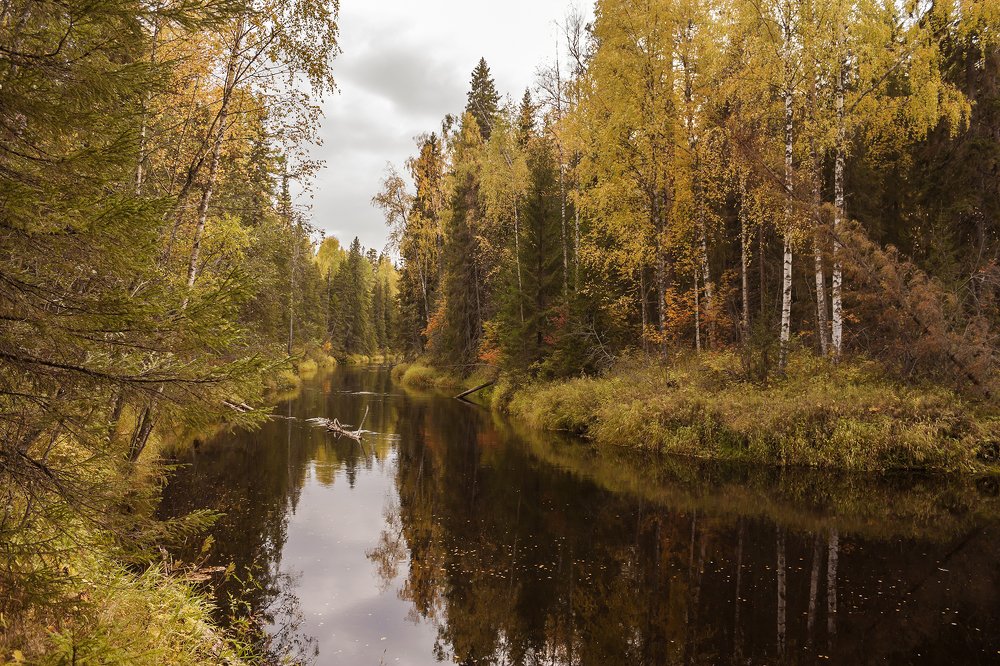 Золотая осень