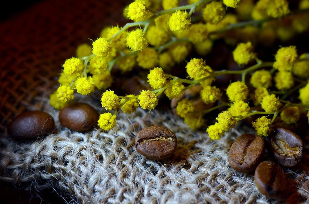 Coffee of spring