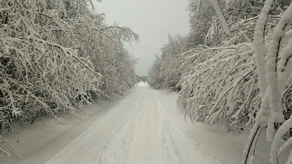 Зимняя дорога