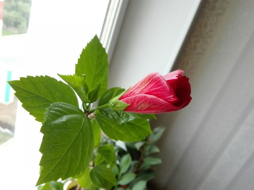 Еще немного....