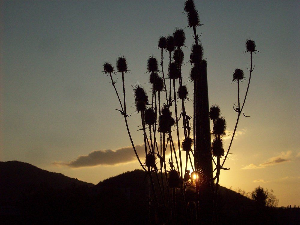 Photograph by Георги Колев