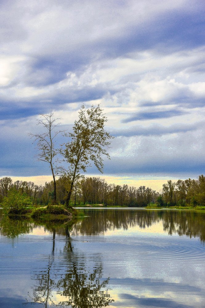 Мой остров, моя крепость.