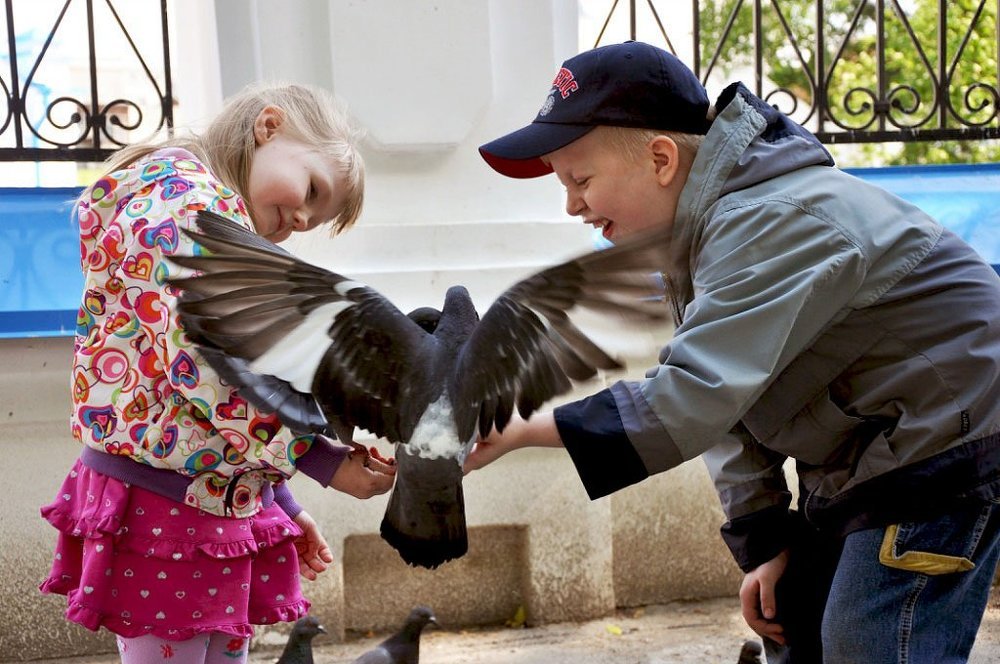 Моменты радости)