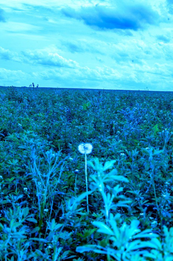 Короткое лето