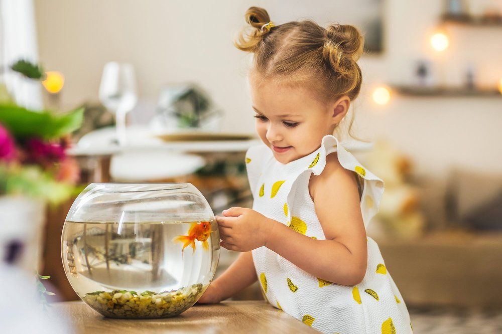 Пусть мечты сбываются...