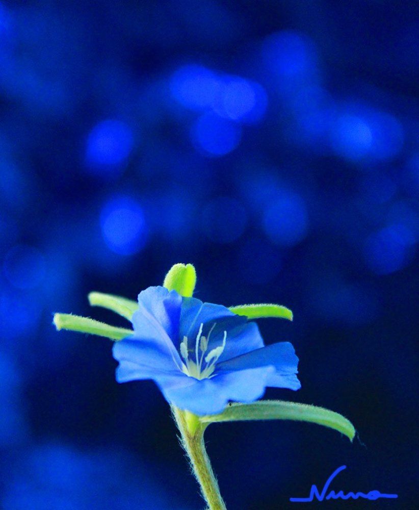 Photograph by Bruno Barreto