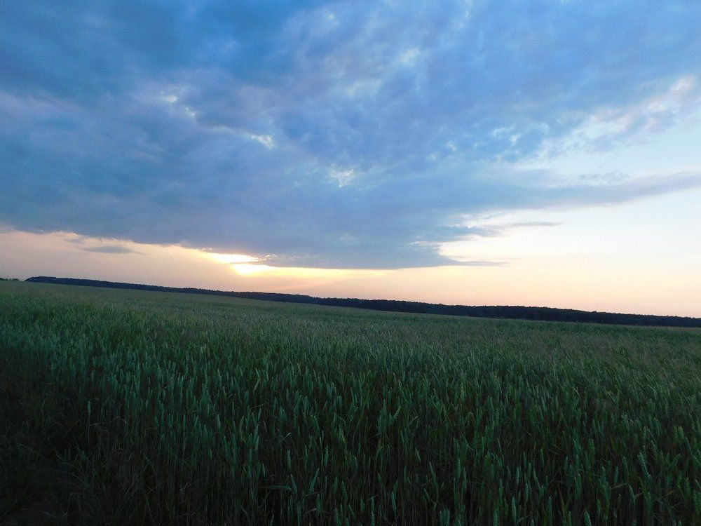 закат ложится на поле