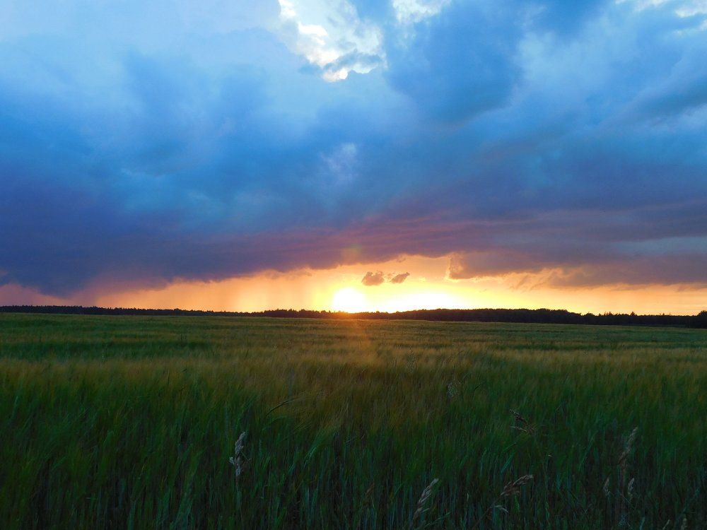 Photograph by Евтух Никита