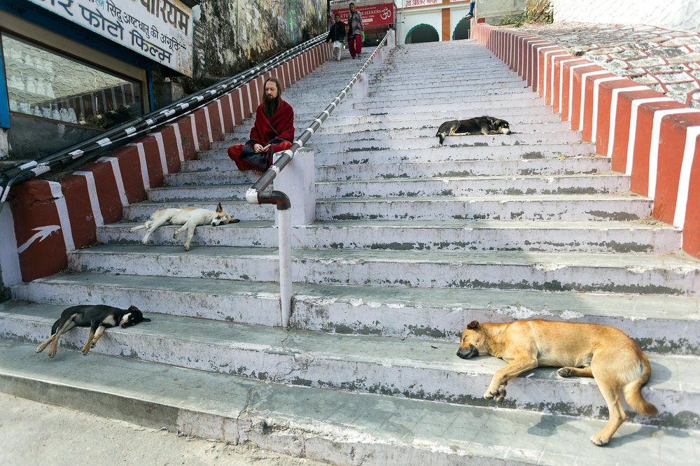 Индийская безмятежность