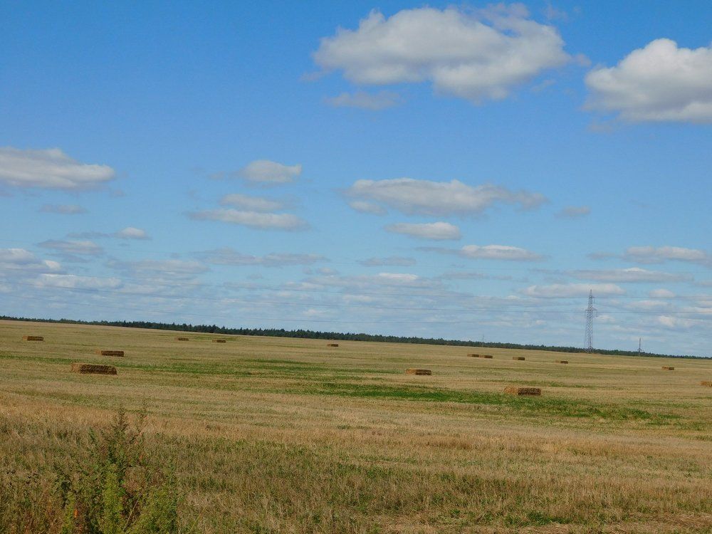 Photograph by Евтух Никита