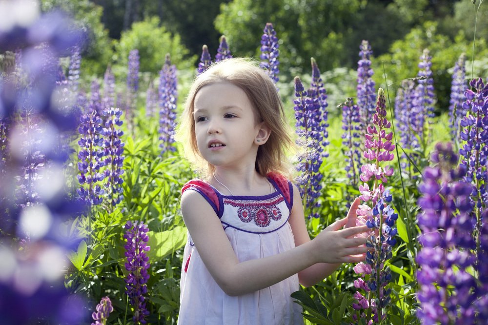 Сиреневые мечты