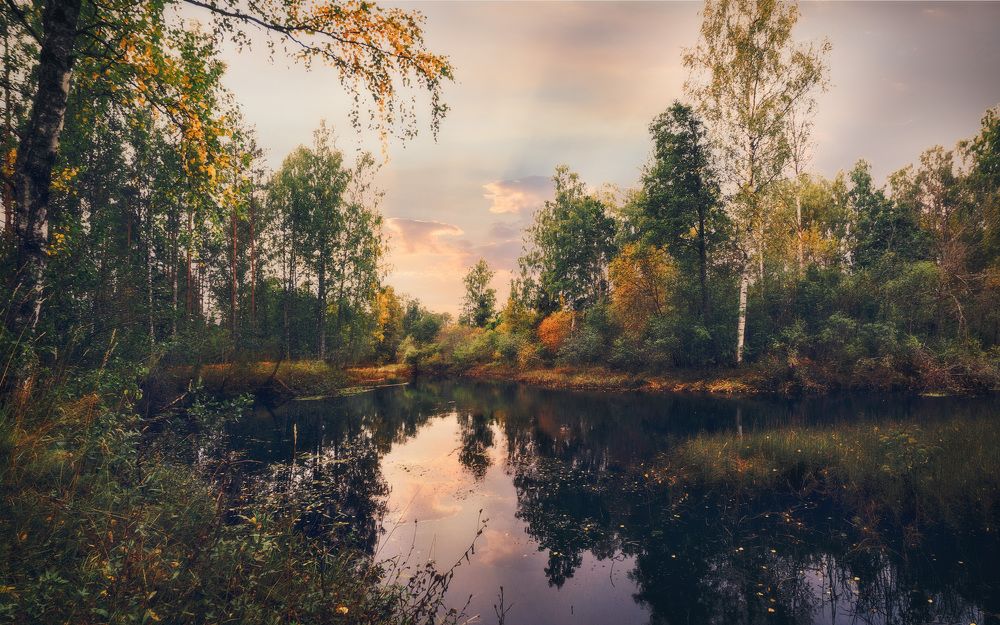 Осенняя пора