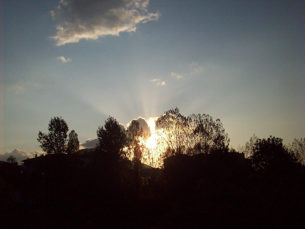 Photograph by Георги Колев