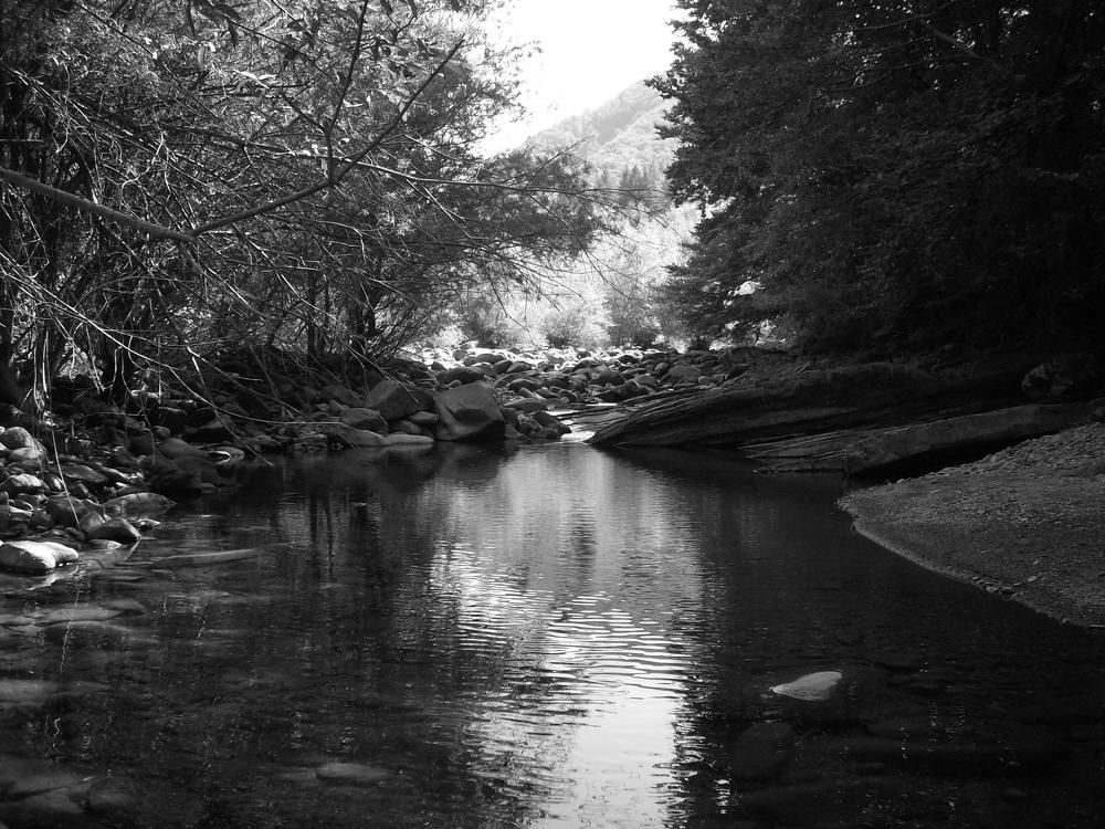 Photograph by Георги Колев