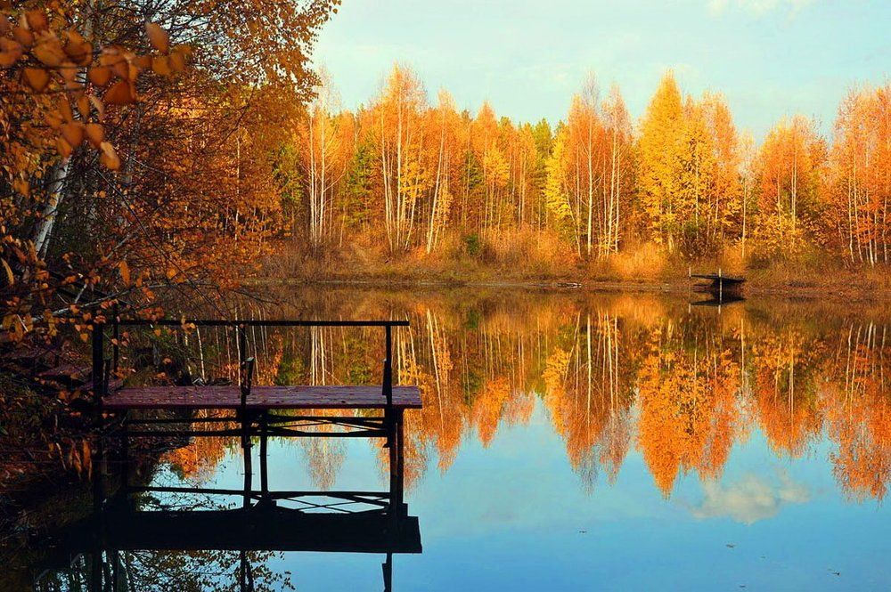 Осенние краски