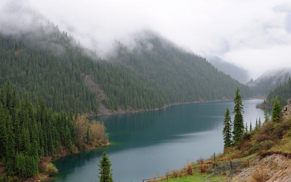 Изумрудные берега