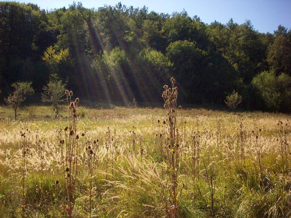 Photograph by Георги Колев