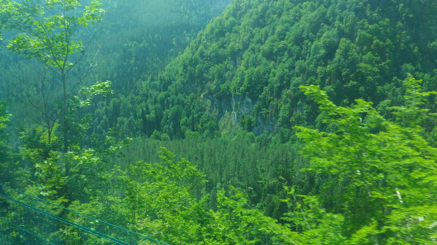 Горы,лес