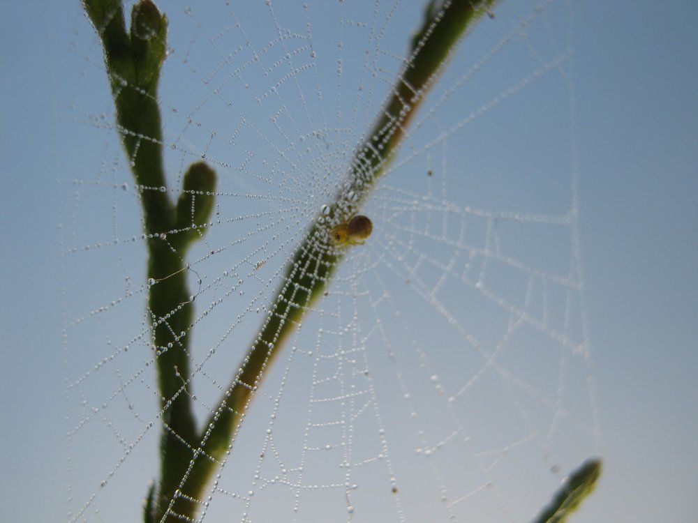 Photograph by Евтух Никита