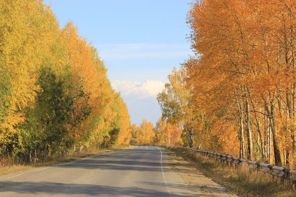 осень...