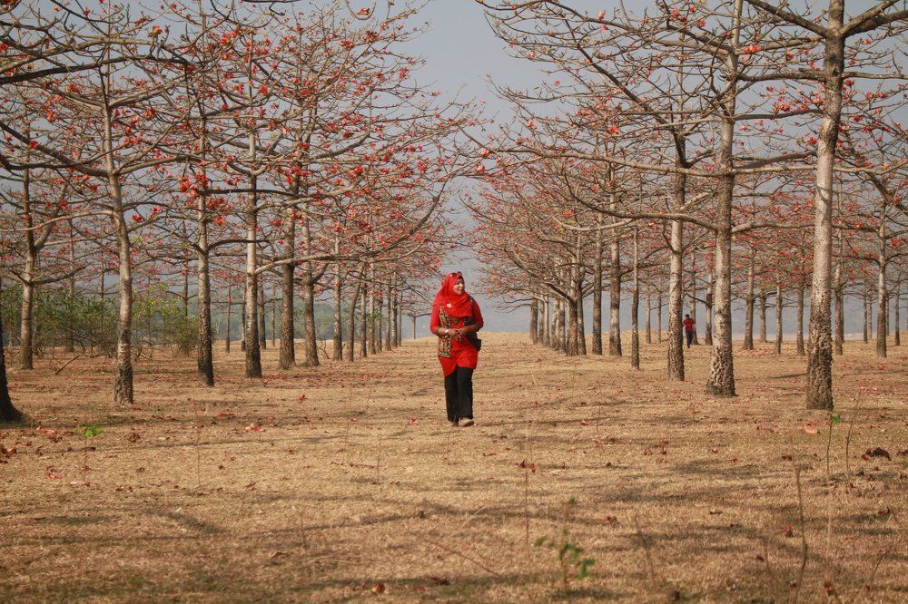 Red Desire