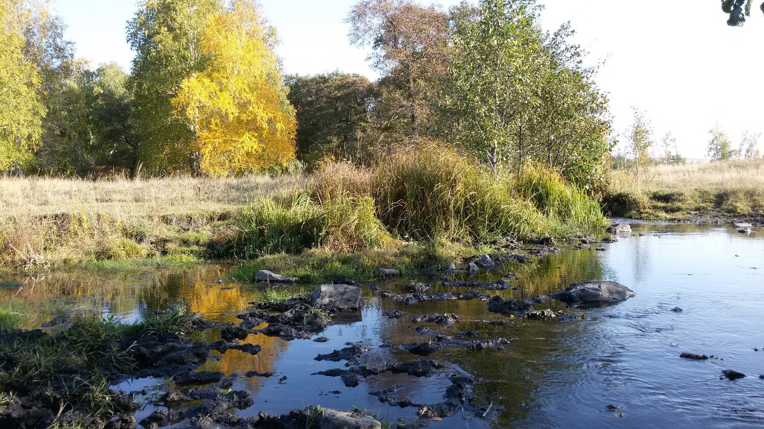 Красота родного края