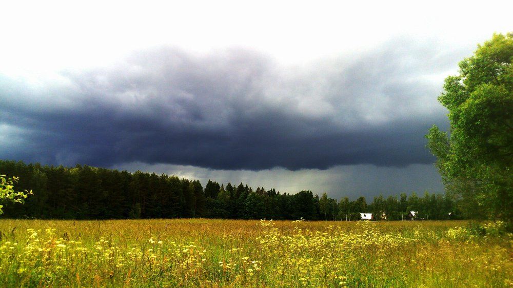 Перед дождём