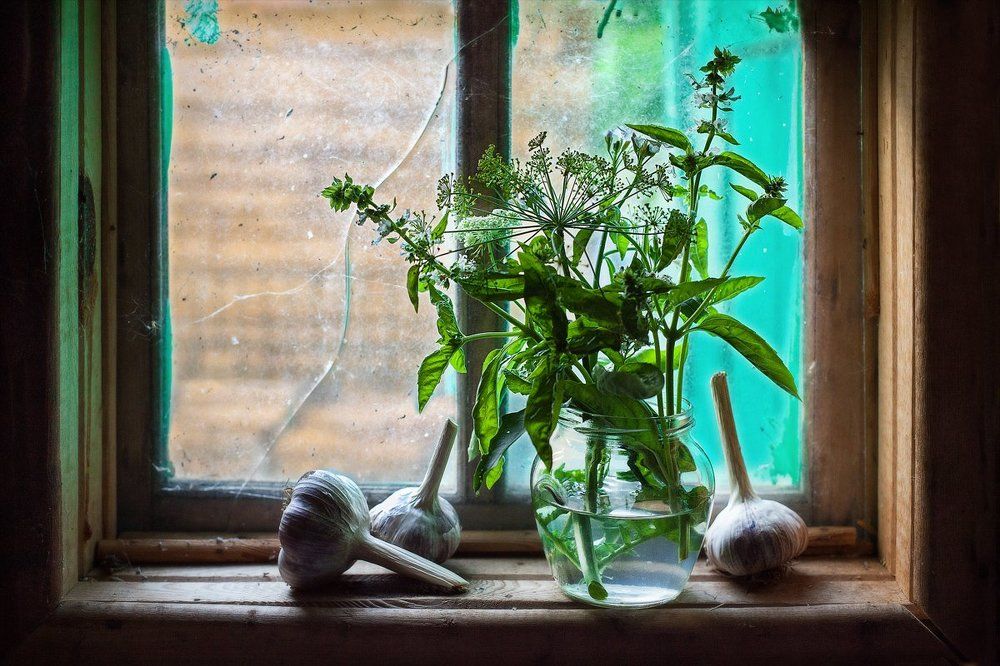 У бабушки в кладовой