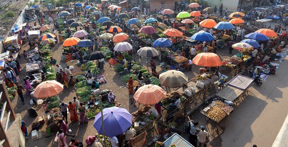 VEGETABLE MARKET