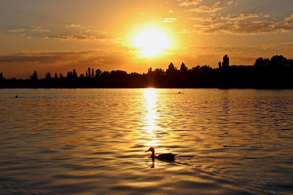 В лучах заката