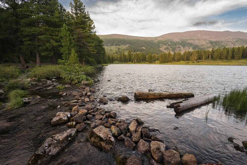 Пересекая поток воды
