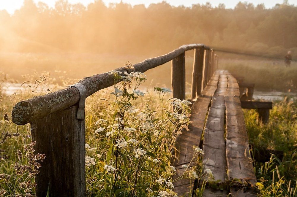 Фотография автора arhi-