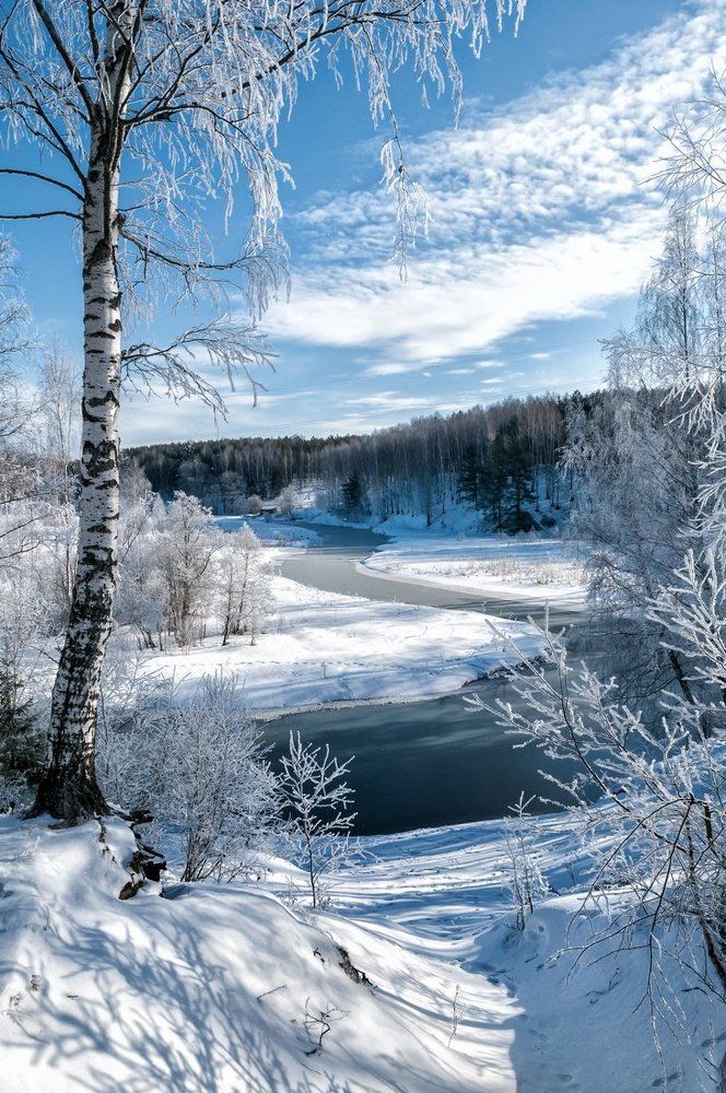 Фотография автора arhi-